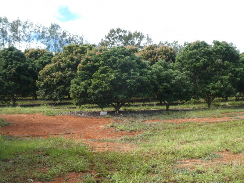 202 CHURCHILL STREET, Childers QLD 4660