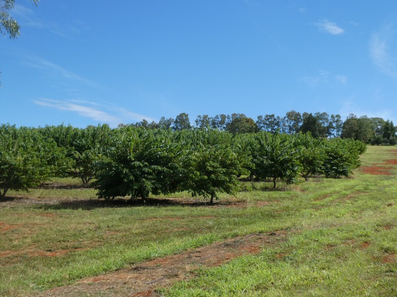 202 CHURCHILL STREET, Childers QLD 4660