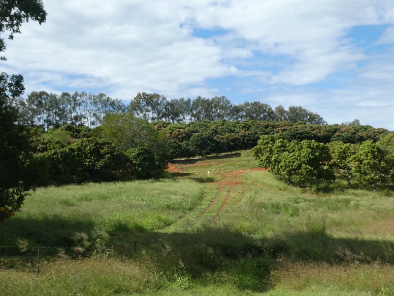 202 CHURCHILL STREET, Childers QLD 4660