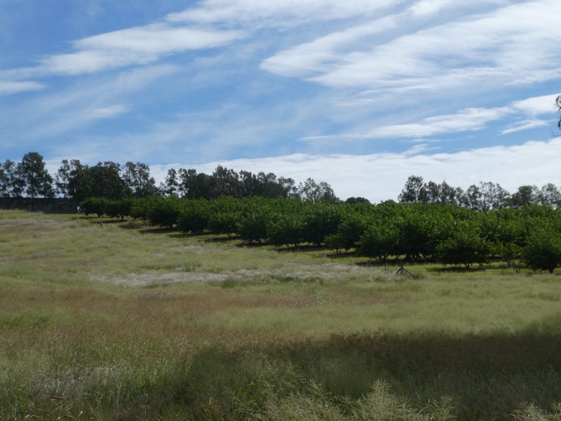 202 CHURCHILL STREET, Childers QLD 4660