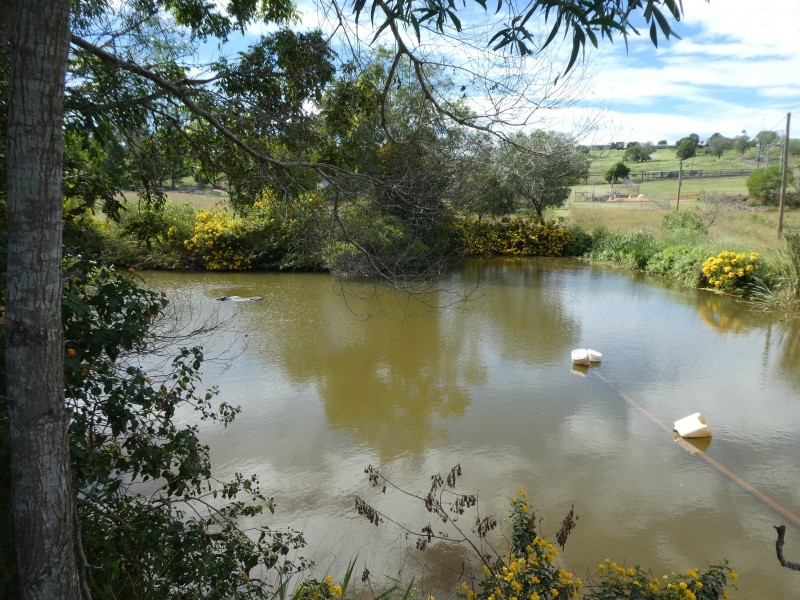 202 CHURCHILL STREET, Childers QLD 4660