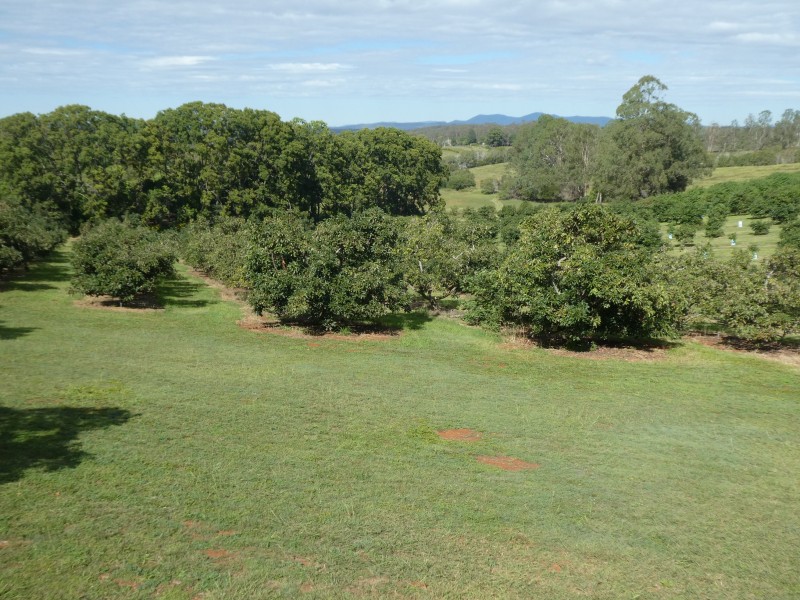 202 CHURCHILL STREET, Childers QLD 4660