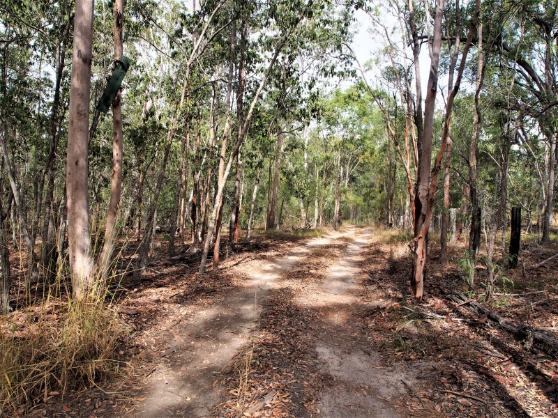 451 NORTH SOUTH ROAD, Kullogum QLD 4660