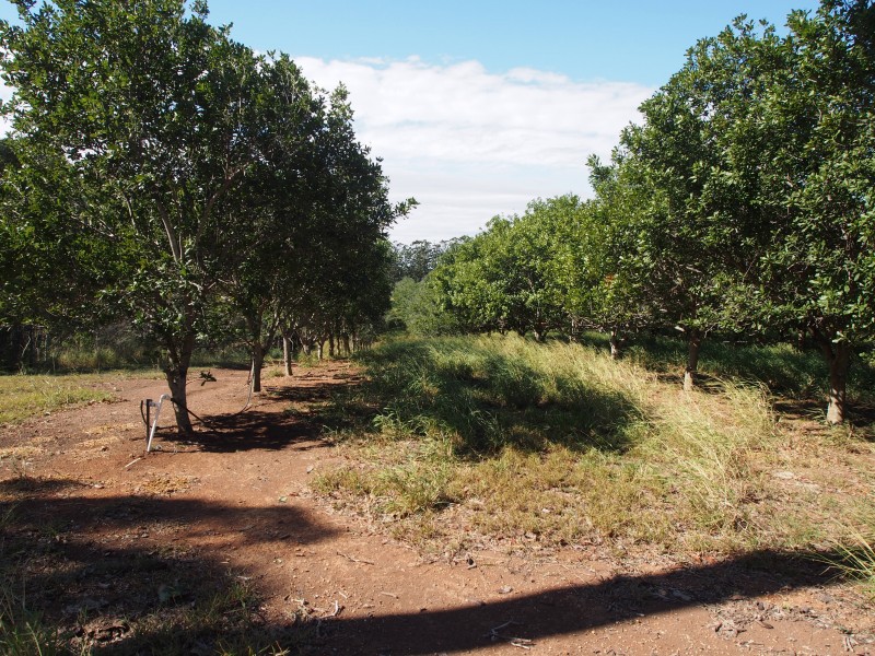 106 RANKIN ROAD, Childers QLD 4660