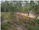 177 GENTLE ANNIE ROAD, Apple Tree Creek QLD 4660