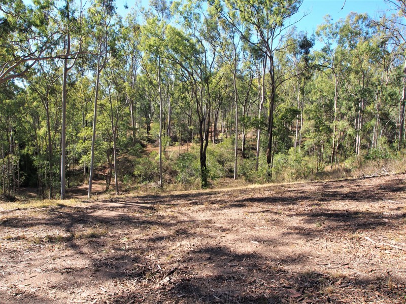 LOT 234 BREUSCH ROAD, Apple Tree Creek QLD 4660
