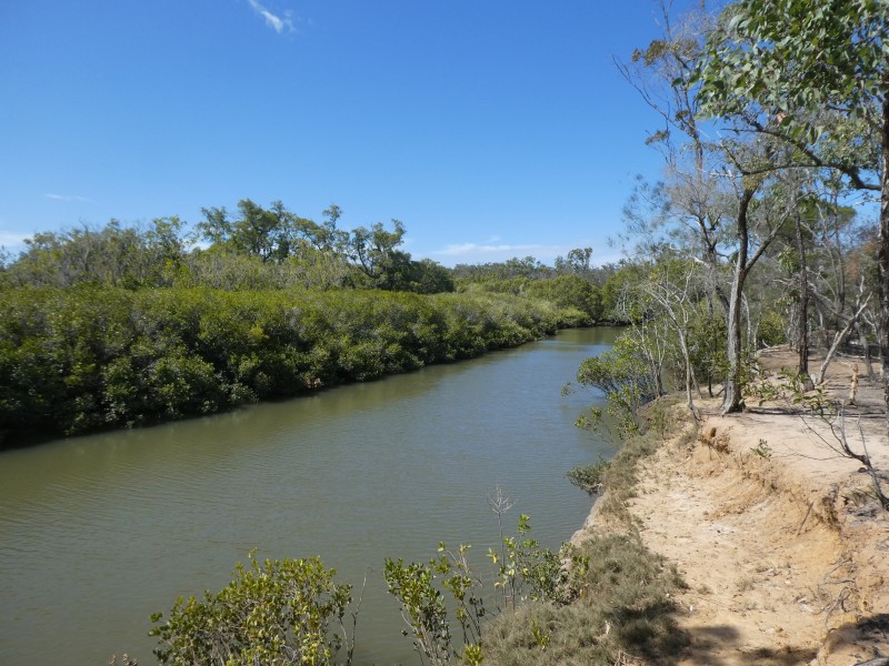 Buxton QLD 4660
