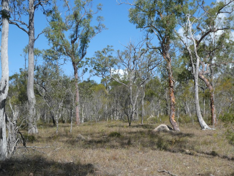 Buxton QLD 4660
