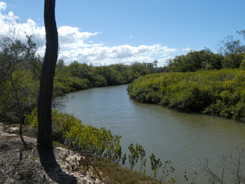 Buxton QLD 4660