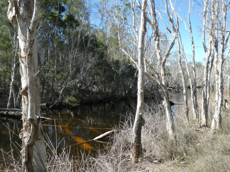 Buxton QLD 4660