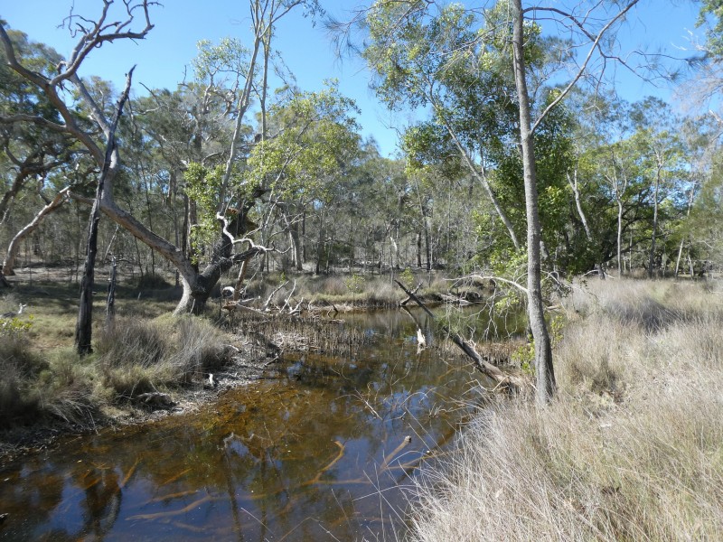 Buxton QLD 4660