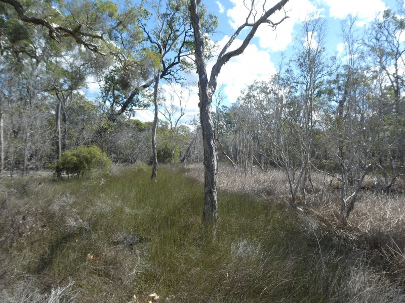 Buxton QLD 4660