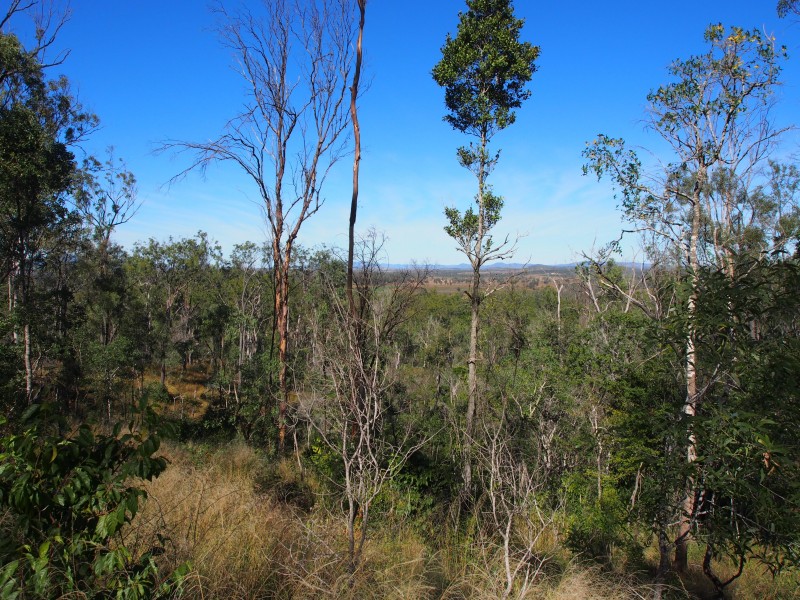 LOT 39 NIELSONS ROAD, Good Night QLD 4671