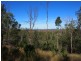 LOT 39 NIELSONS ROAD, Good Night QLD 4671