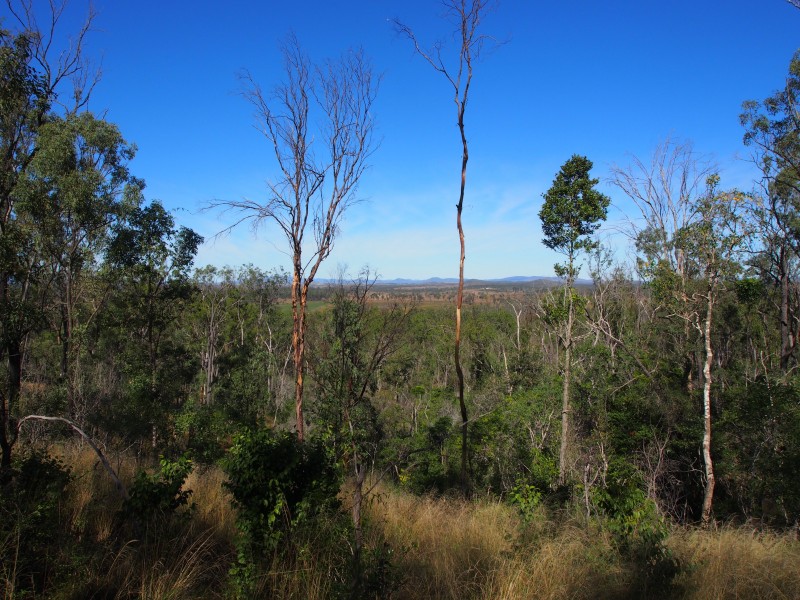 LOT 39 NIELSONS ROAD, Good Night QLD 4671