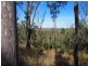 LOT 39 NIELSONS ROAD, Good Night QLD 4671