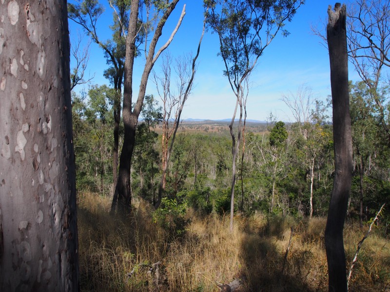 LOT 39 NIELSONS ROAD, Good Night QLD 4671