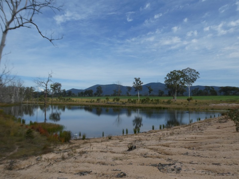 Golden Fleece QLD 4621