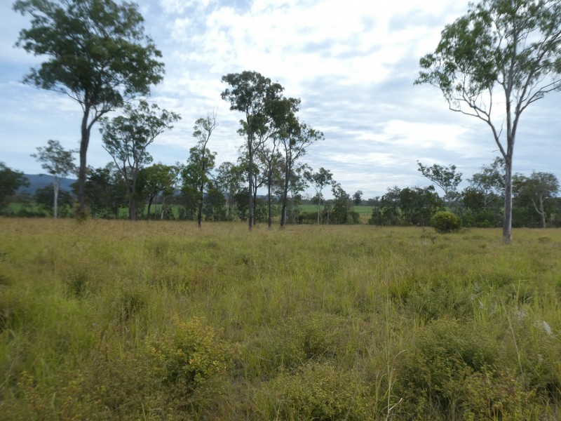 Golden Fleece QLD 4621