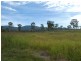 Golden Fleece QLD 4621