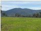 Golden Fleece QLD 4621