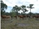 Golden Fleece QLD 4621