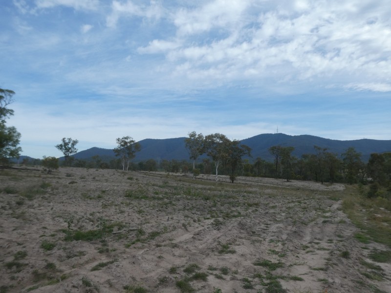 Golden Fleece QLD 4621