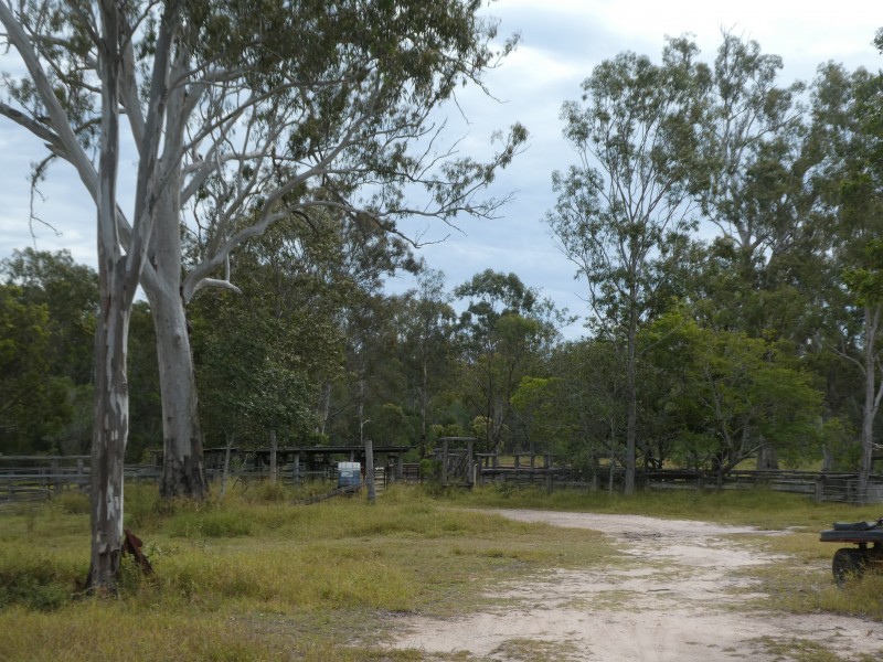 Golden Fleece QLD 4621