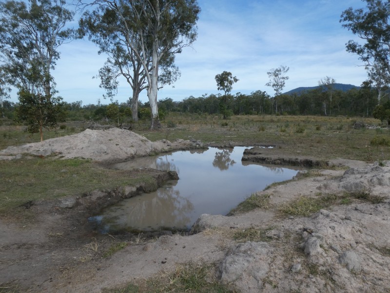 Golden Fleece QLD 4621
