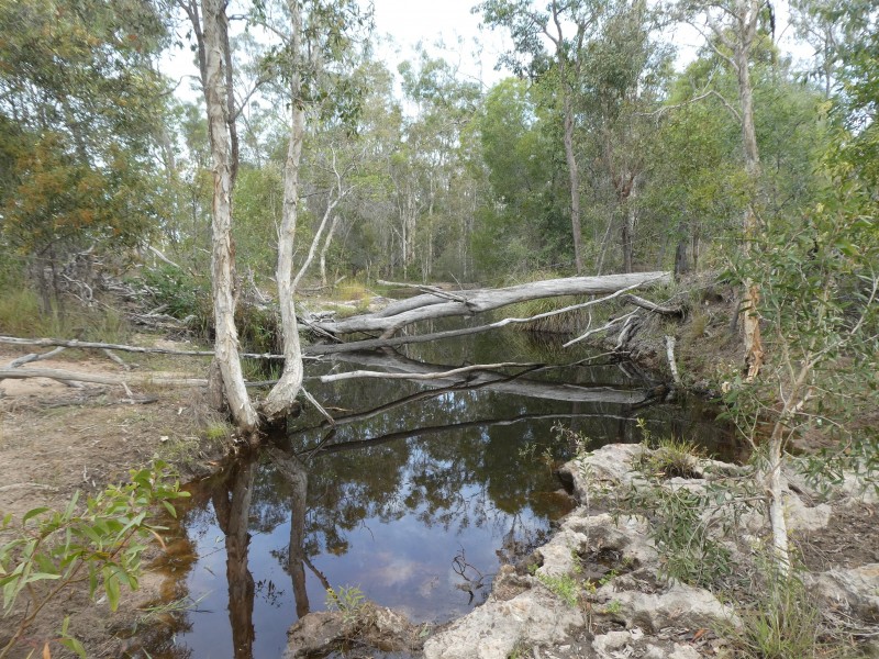 Golden Fleece QLD 4621