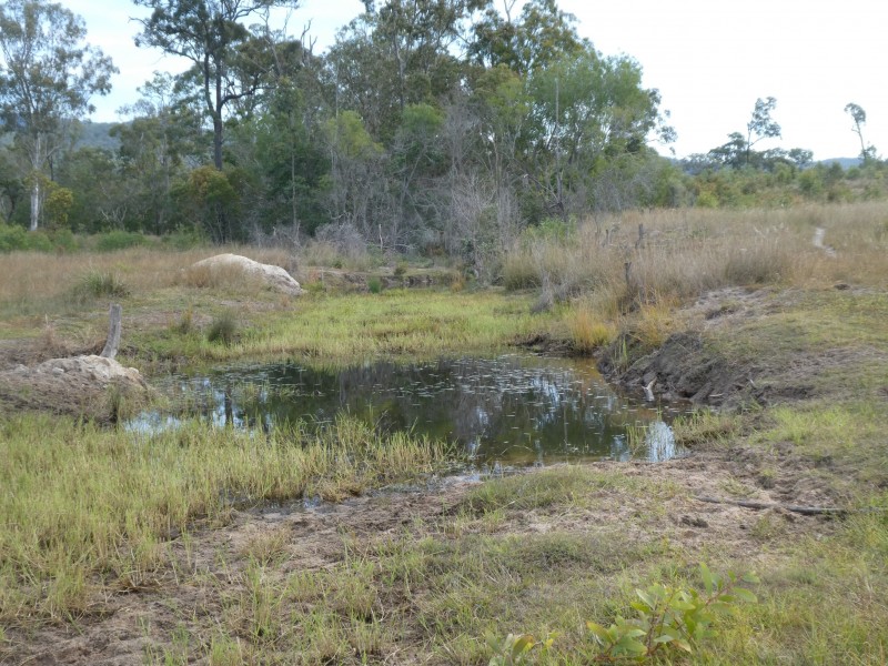 Golden Fleece QLD 4621