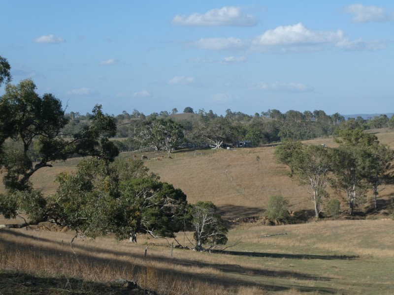 266 ROCKY CREEK ROAD, Mount Perry QLD 4671