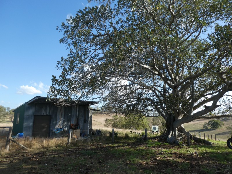 266 ROCKY CREEK ROAD, Mount Perry QLD 4671