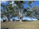 266 ROCKY CREEK ROAD, Mount Perry QLD 4671