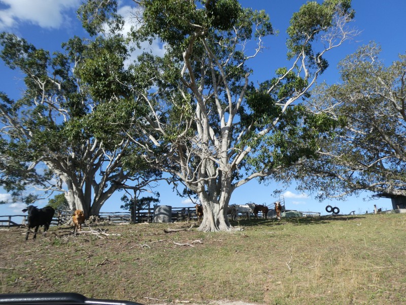 266 ROCKY CREEK ROAD, Mount Perry QLD 4671