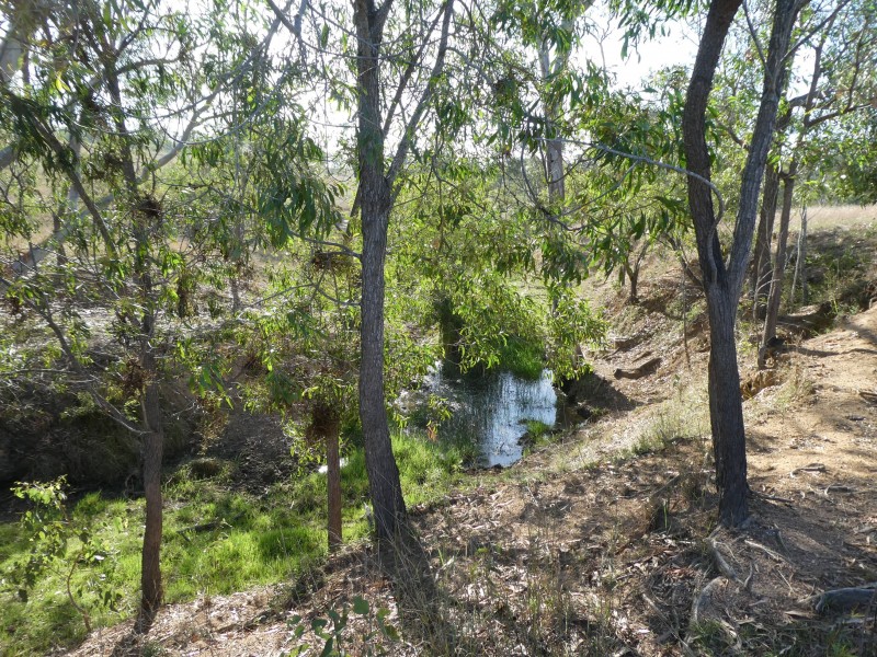 266 ROCKY CREEK ROAD, Mount Perry QLD 4671