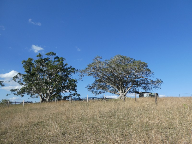 266 ROCKY CREEK ROAD, Mount Perry QLD 4671