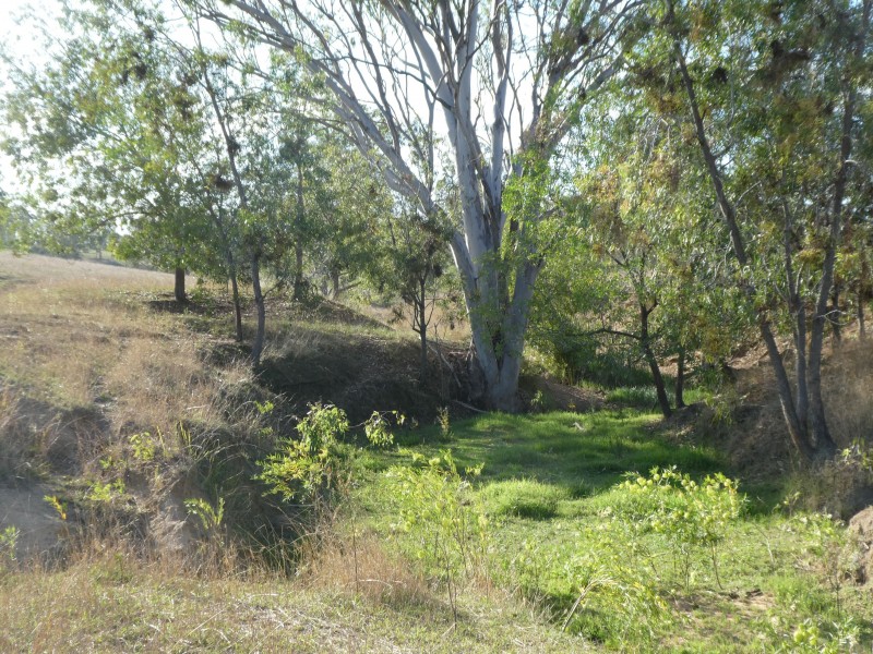 266 ROCKY CREEK ROAD, Mount Perry QLD 4671