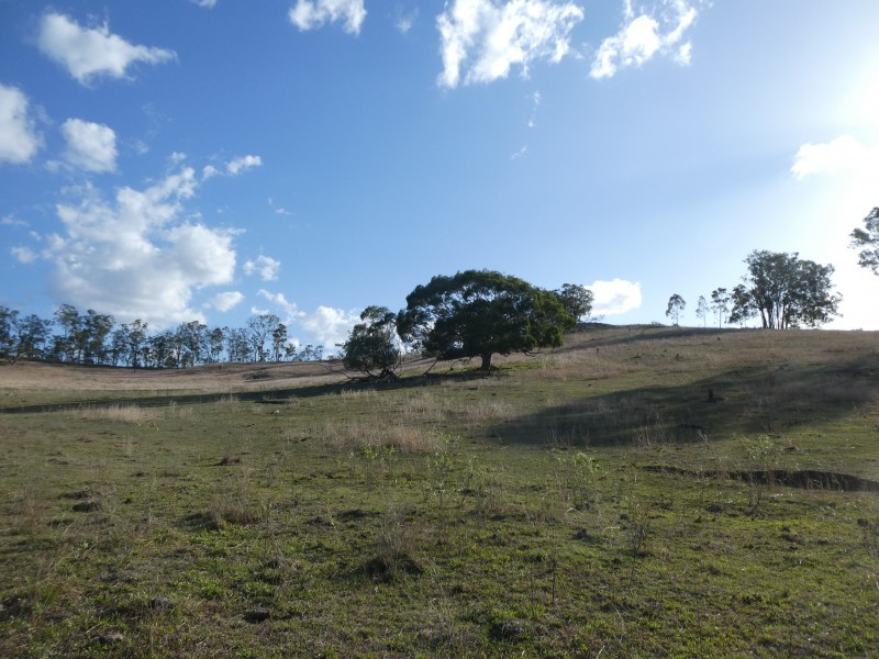 266 ROCKY CREEK ROAD, Mount Perry QLD 4671