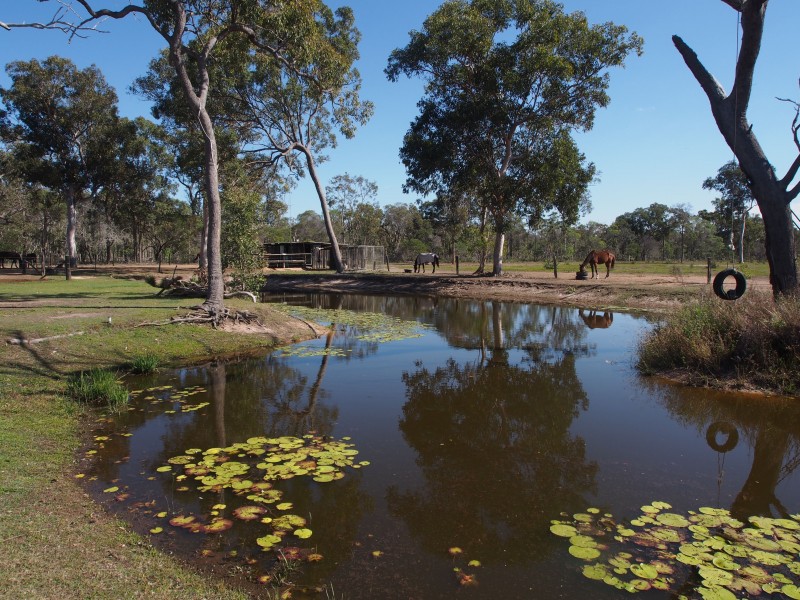 1547 BUXTON ROAD, Buxton QLD 4660