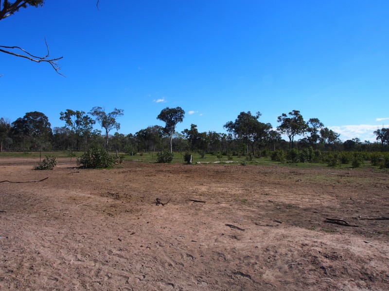 1547 BUXTON ROAD, Buxton QLD 4660