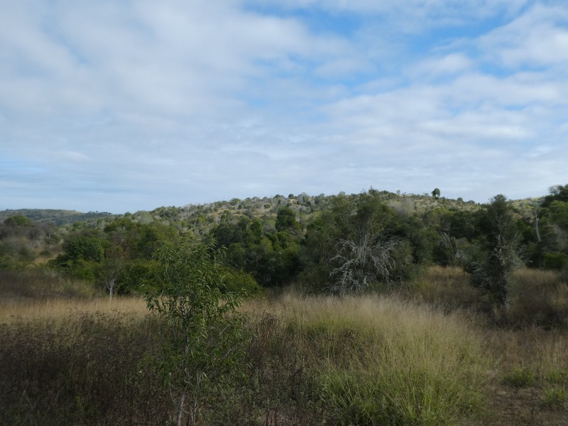 662 EMU CREEK ROAD, Degilbo QLD 4621