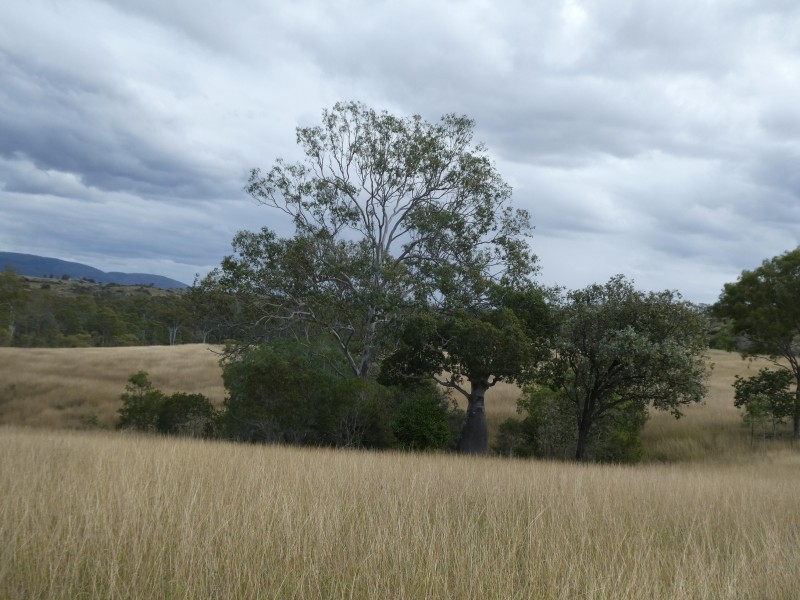 662 EMU CREEK ROAD, Degilbo QLD 4621