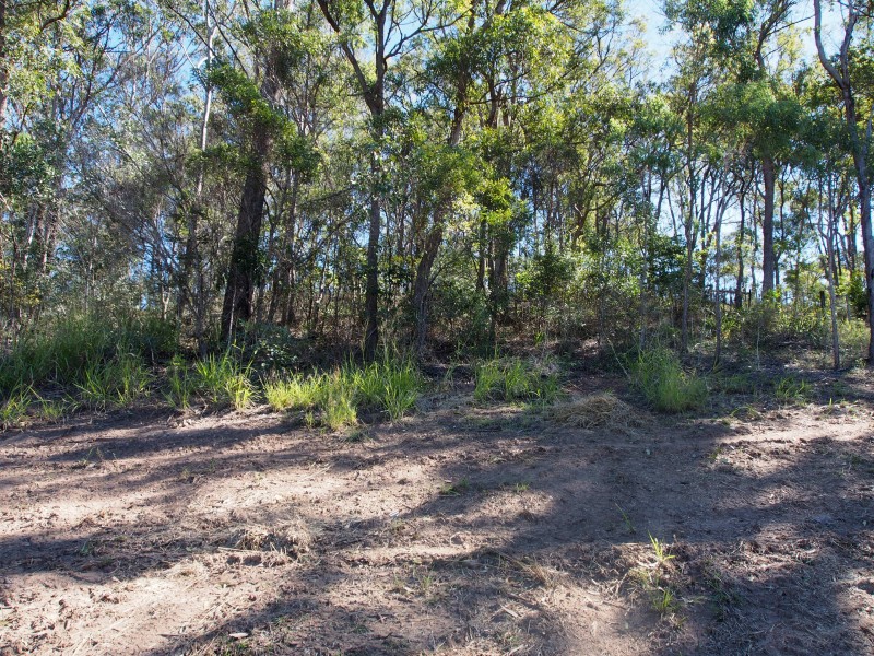 17 ATC HALL ROAD, Apple Tree Creek QLD 4660