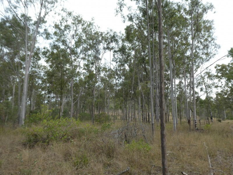 Campbell Creek QLD 4625