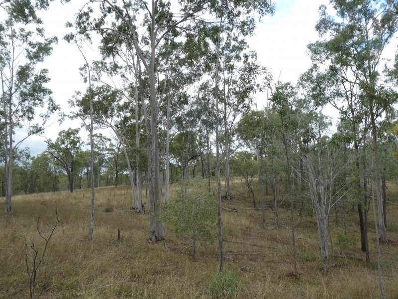 Campbell Creek QLD 4625