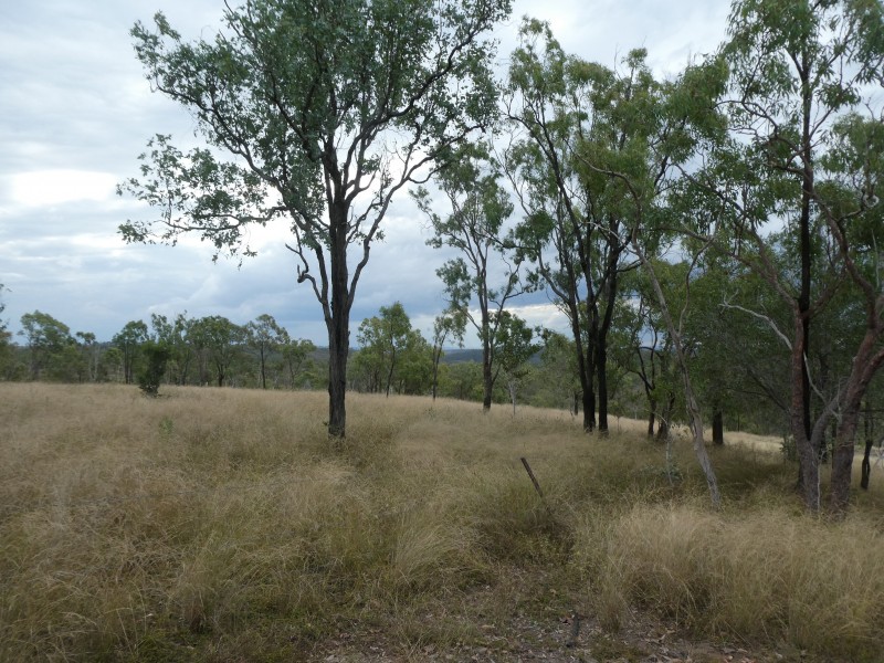 Campbell Creek QLD 4625