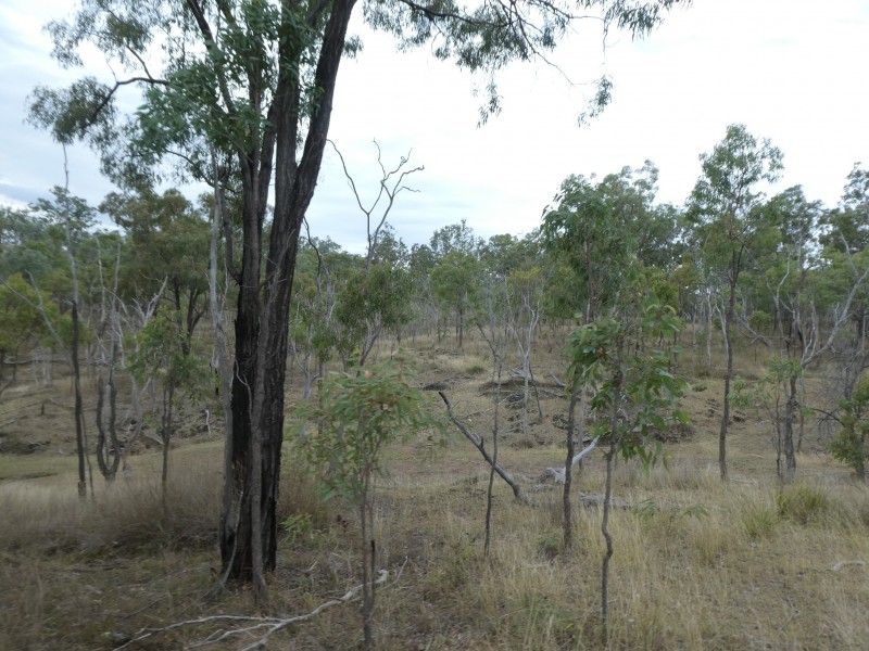 Campbell Creek QLD 4625