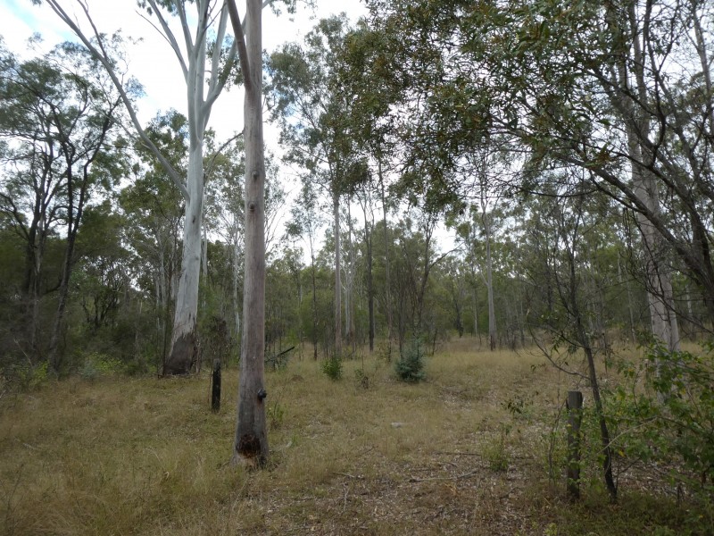 Campbell Creek QLD 4625