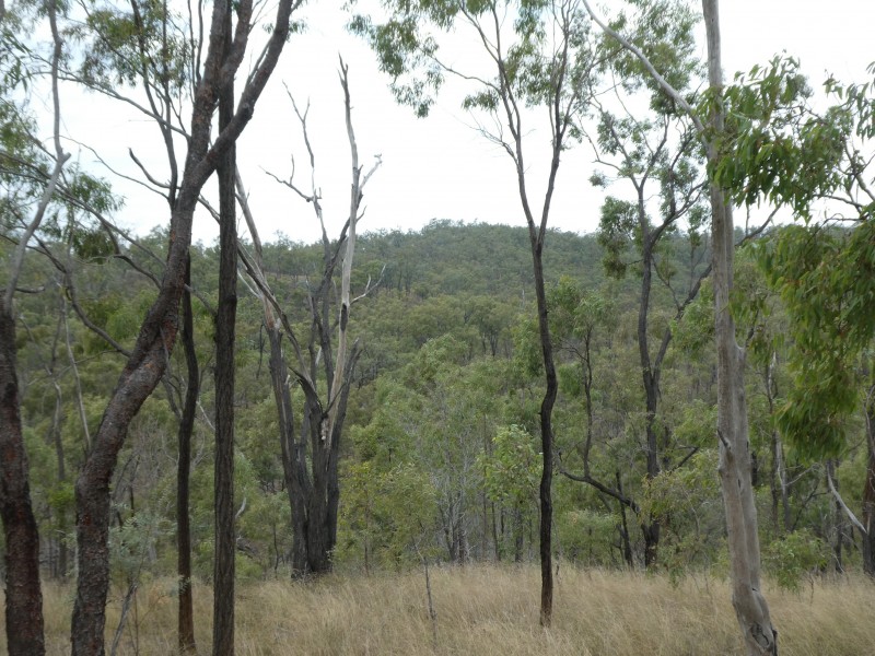 Campbell Creek QLD 4625